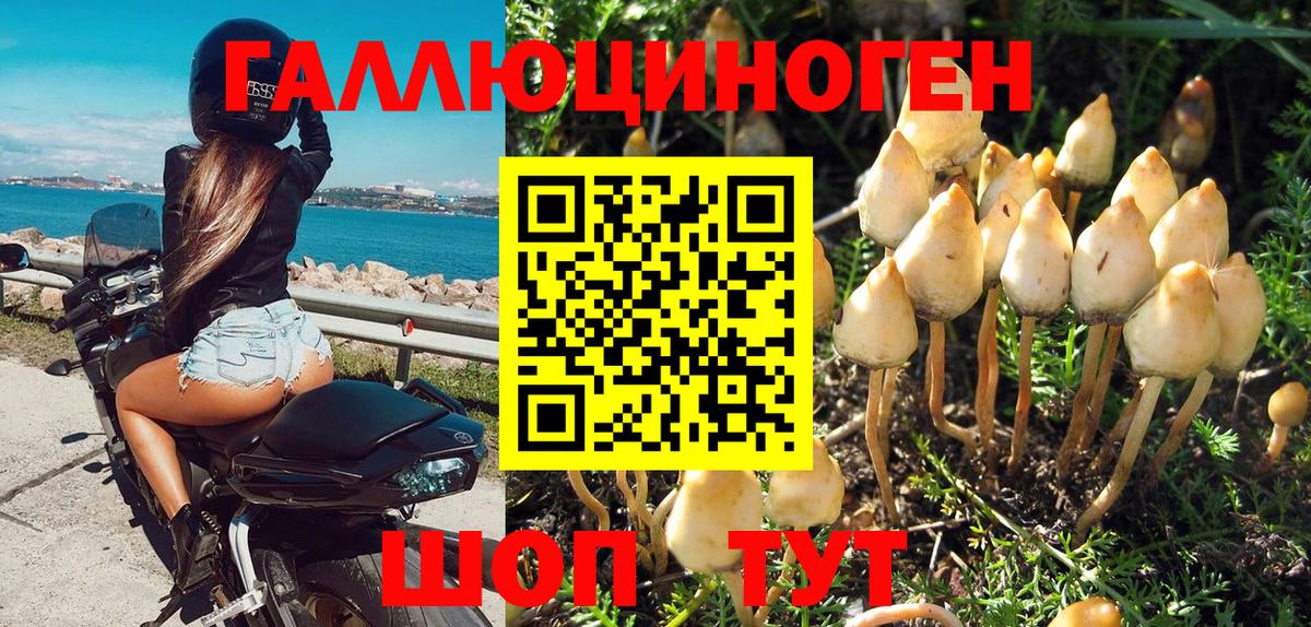 Галлюциногенные грибы мухоморы Отрадный