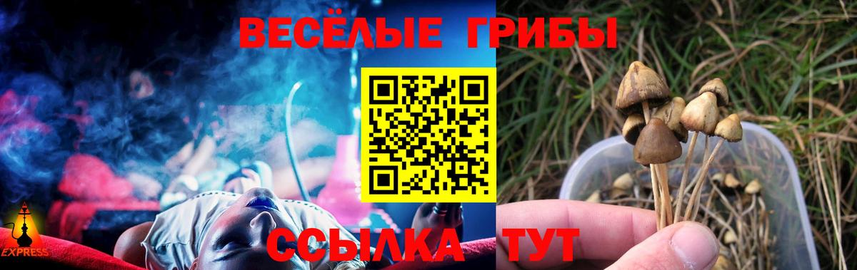 Галлюциногенные грибы Psilocybe  Вход с VPN  Отрадный  Галлюциногенные грибы Psilocybe 